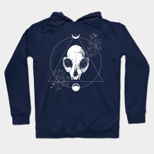 We Are Stardust Hoodie